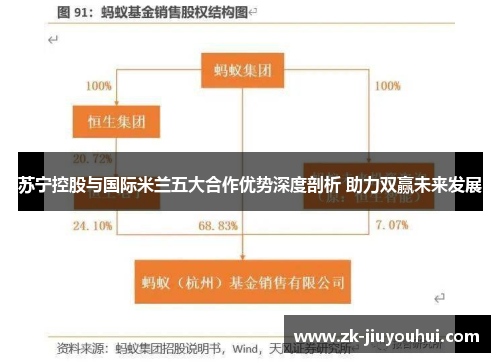 苏宁控股与国际米兰五大合作优势深度剖析 助力双赢未来发展 苏宁控股与国际米兰五大合作优势深度剖析 助力双赢未来发展